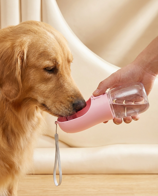Portable Pet Water Bottle - Hydrate Your Dog Anywhere
